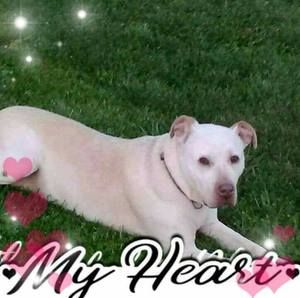 Meet your Posher, Elisabeth